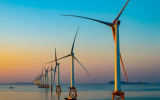 全國海洋生產總值超9萬億 海上風電發(fā)電量同比增116.2%