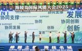 廣東（陽江）風(fēng)電產(chǎn)業(yè)聯(lián)盟揭牌成立