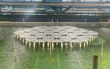 SolarDuck在MARIN完成54個互聯海上漂浮式光伏平臺的縮尺試驗