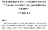 國家電投廣西欽州海上風電示范項目中標公示