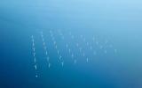 英國批準(zhǔn)愛爾蘭海1.5吉瓦M(jìn)organ海上風(fēng)電項目